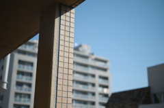 晴れ