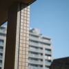 晴れ