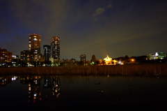 不忍池　夜景