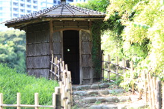 鴨を狙う