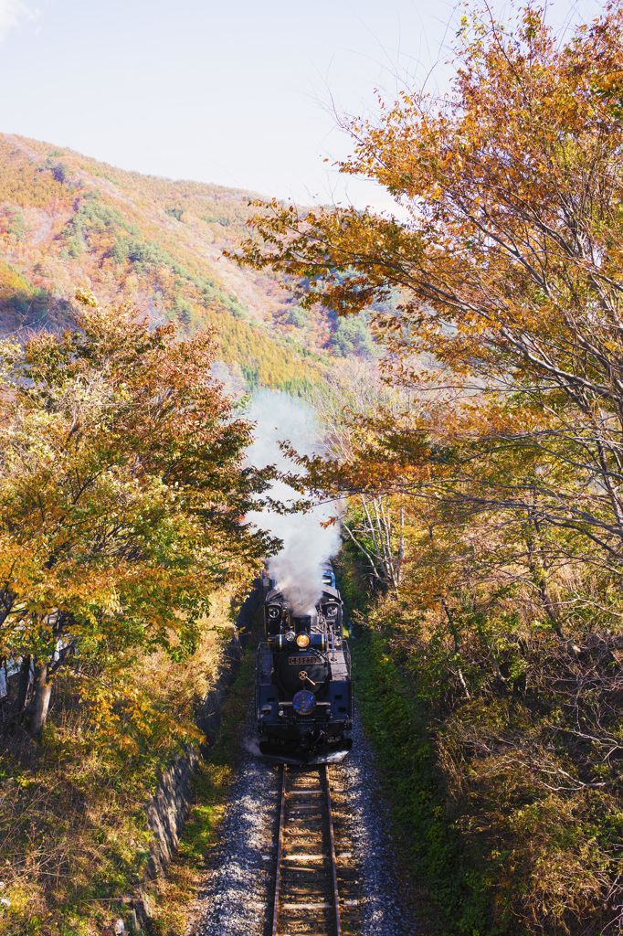 紅葉を駆け抜ける