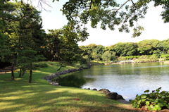 湖岸