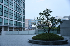 コメントしずらい写真２