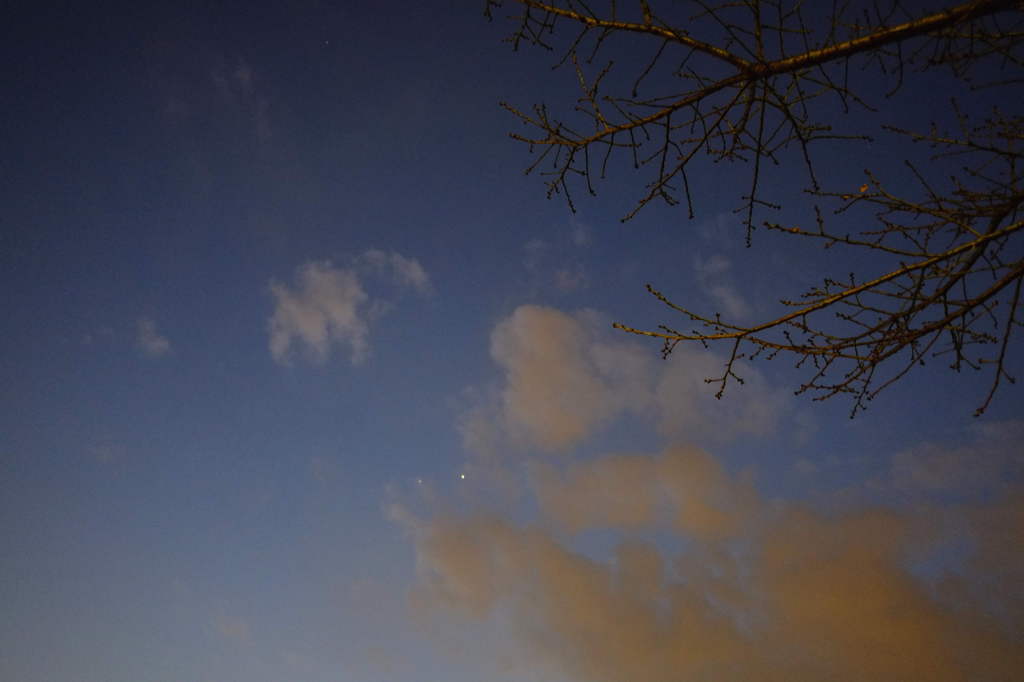 不忍池　夜空