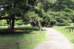眩しい庭道