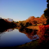 景色を覗く