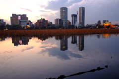 不忍池　夕方