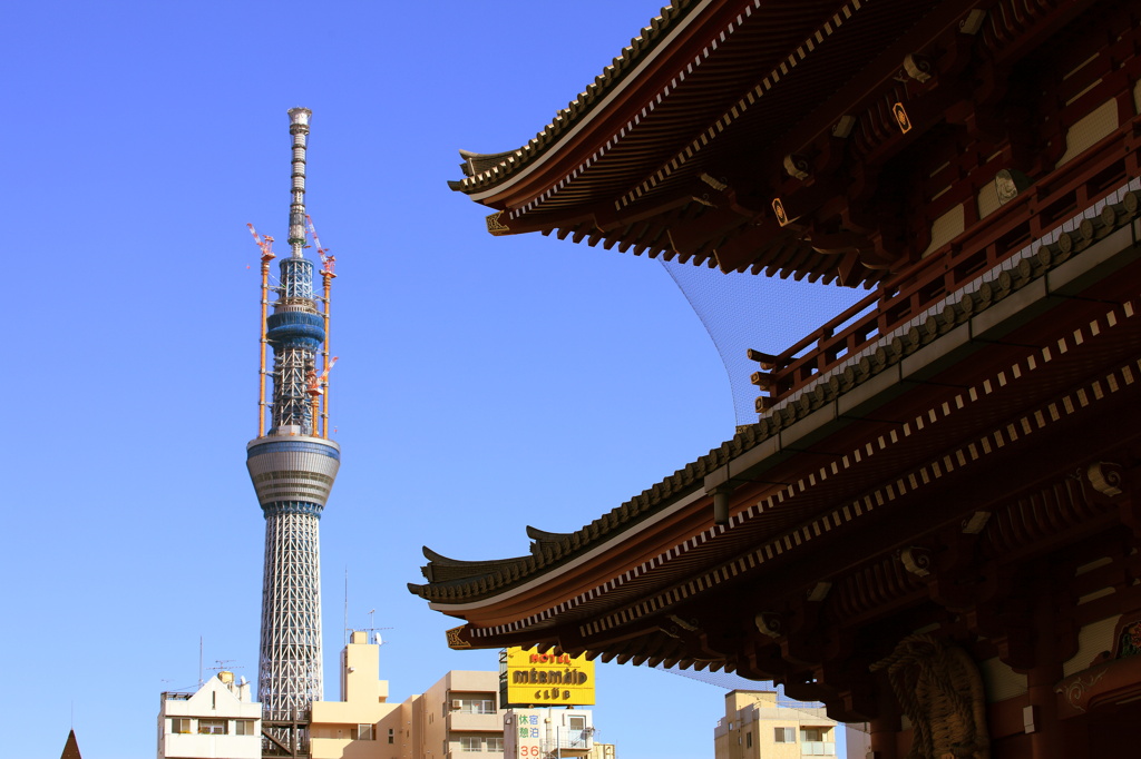 スカイツリー　浅草寺から