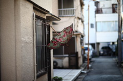 あんぶれら
