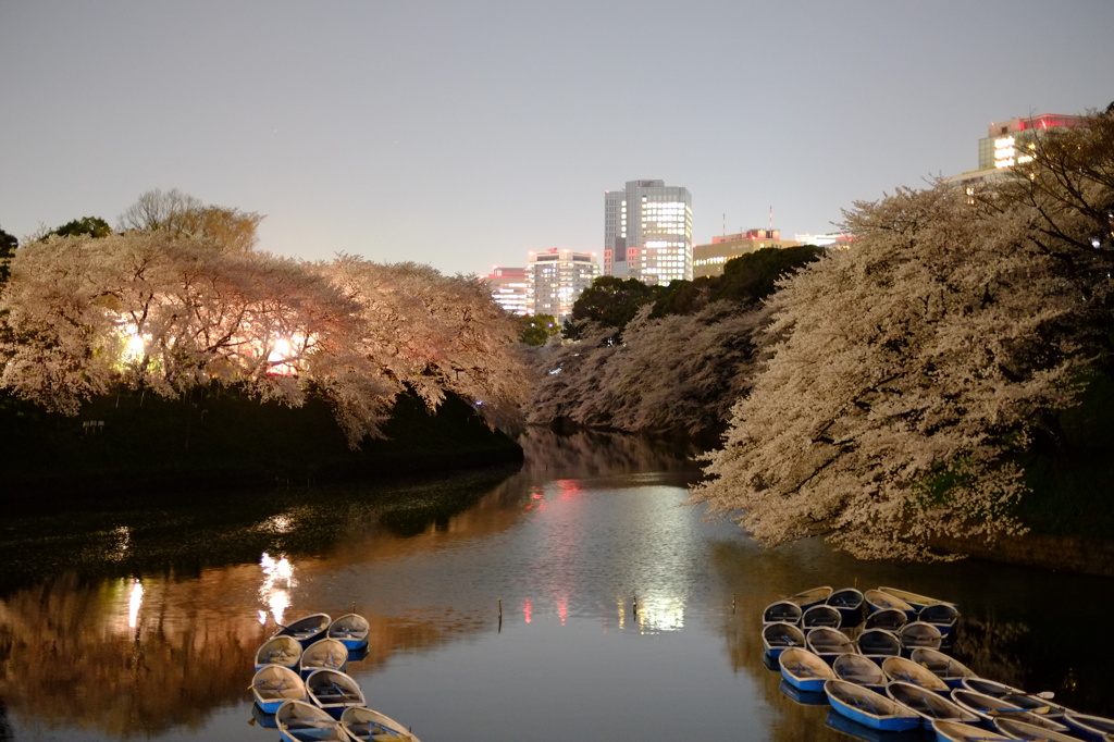 ボート御一行様