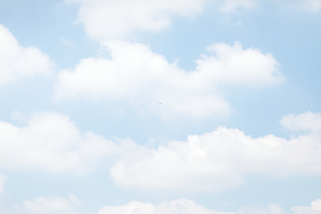 また、いつもの夏。空