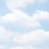 また、いつもの夏。空