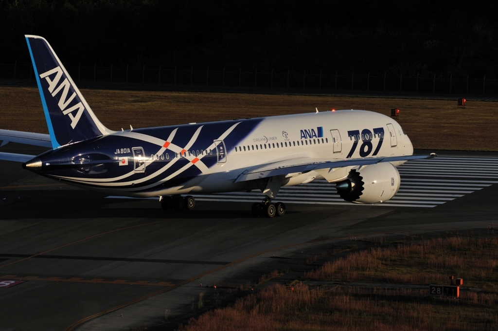 B787慣熟飛行②