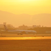 朝の飛行場
