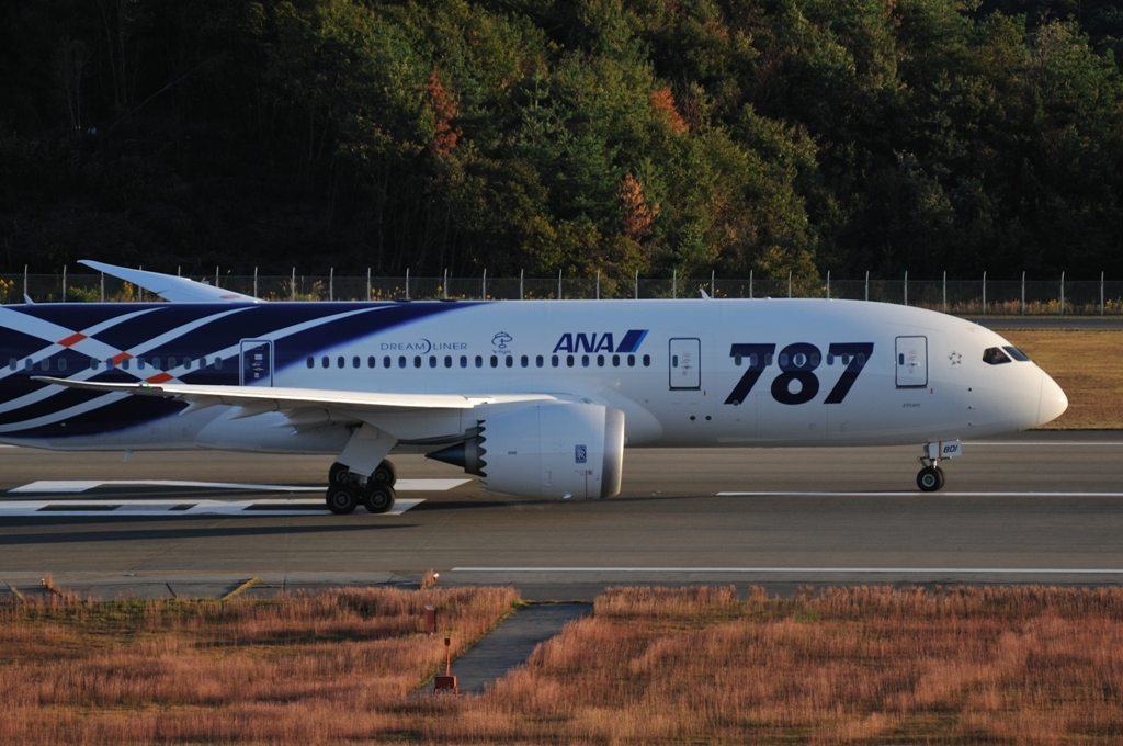 B787慣熟飛行③
