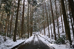 峠道