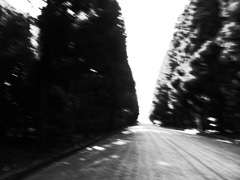 感