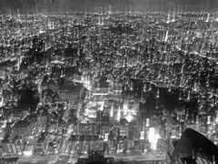 夜景