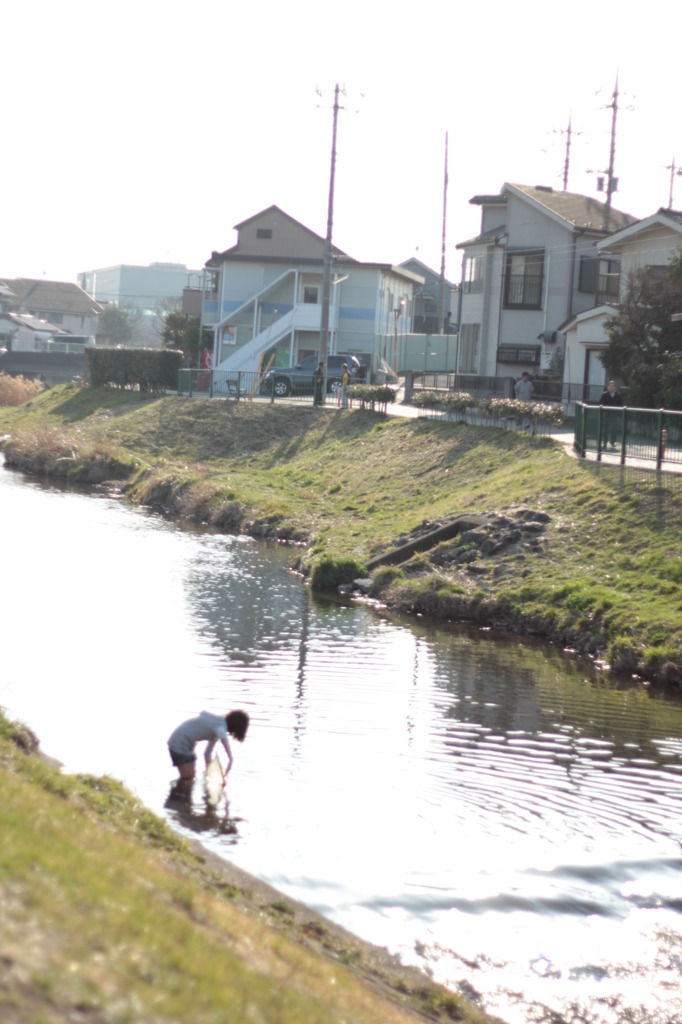 生態調査中。