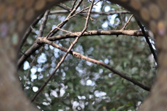 窓