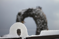 ミニなべつる岩