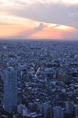 都庁から