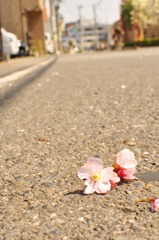 地面さえもキャンバスに…