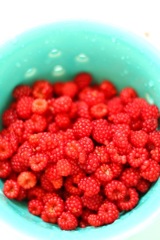 Rasberries