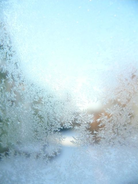 車の霜
