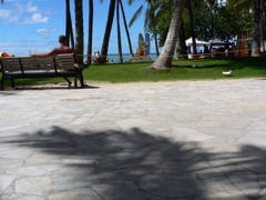 CIMG0141