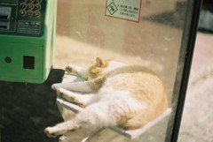 熱海