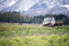 abandoned truck