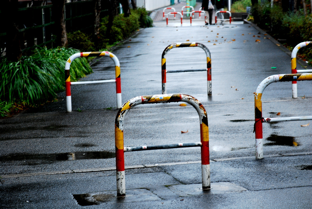 雨の道