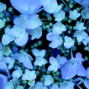 雨色の花火