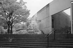 夏休みの小学校