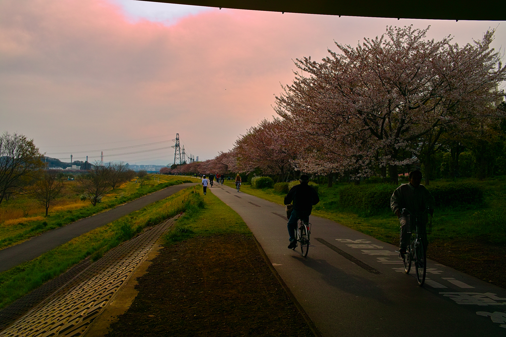 日曜の午後