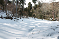 雪景色