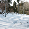 雪景色