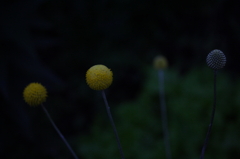 練習02
