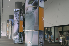 ねこ展（渋谷ヒカリエ９階ホール）