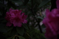 練習03