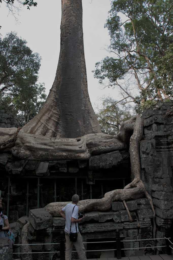 飲み込まれる寺院09