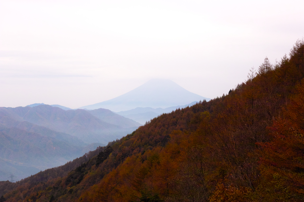 柳沢峠