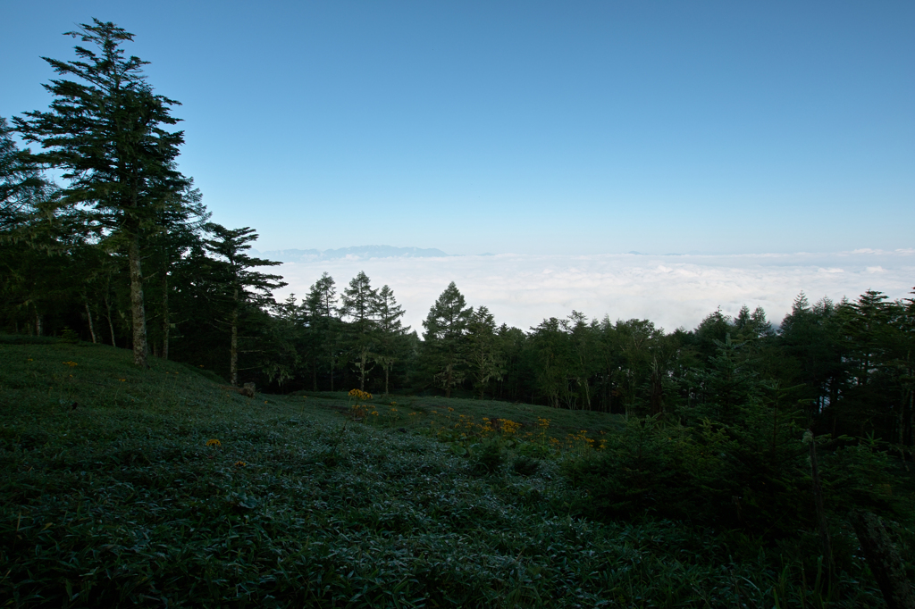 鹿嶺高原02