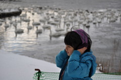白鳥さんとおしゃべり
