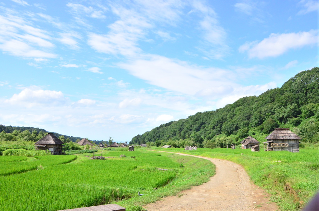 画像 002
