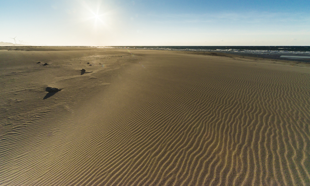 Desert ３（冬の西風）