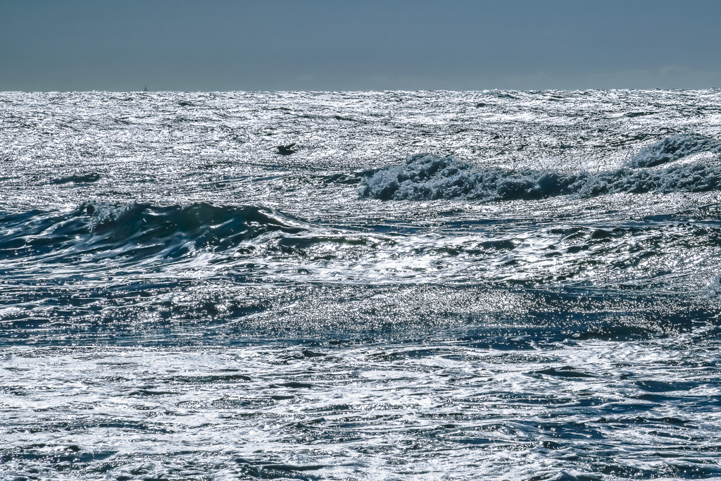 荒波を飛ぶ　２