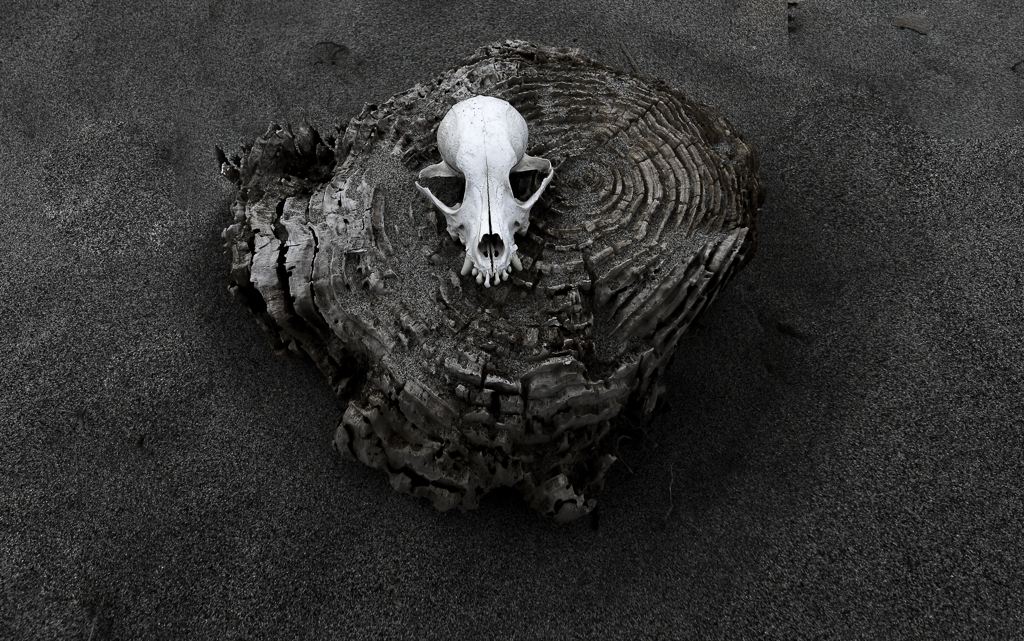 ありふれた情景