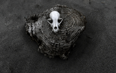 ありふれた情景